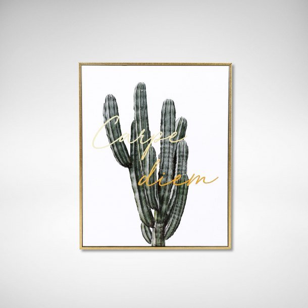 Cactus Art Poster - Comfort Furniture