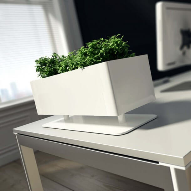 Artificial Plants in Rectangular Shaped Pots - Comfort Furniture