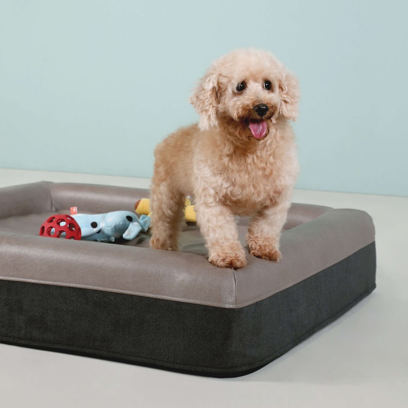 Comfort bed for dogs discount