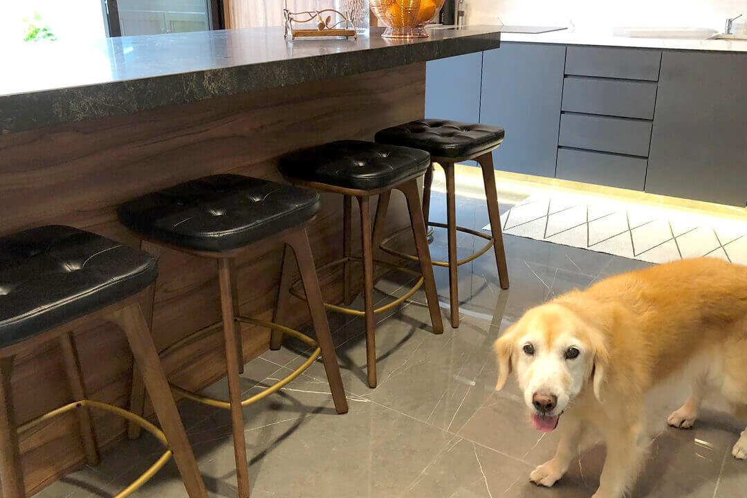 Ways To Pick Rein Barstool - Comfort Furniture
