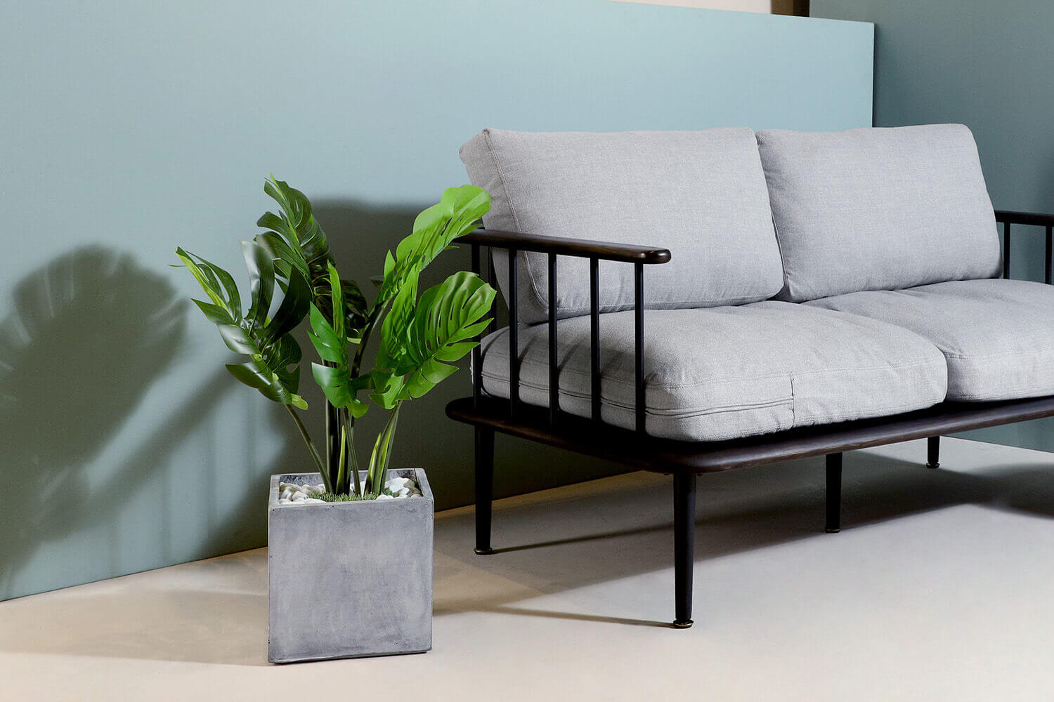 Monstera plant next to sofa - Comfort Furniture
