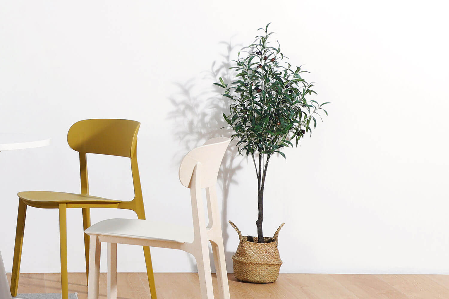 Olive tree next to trees - Comfort Furniture