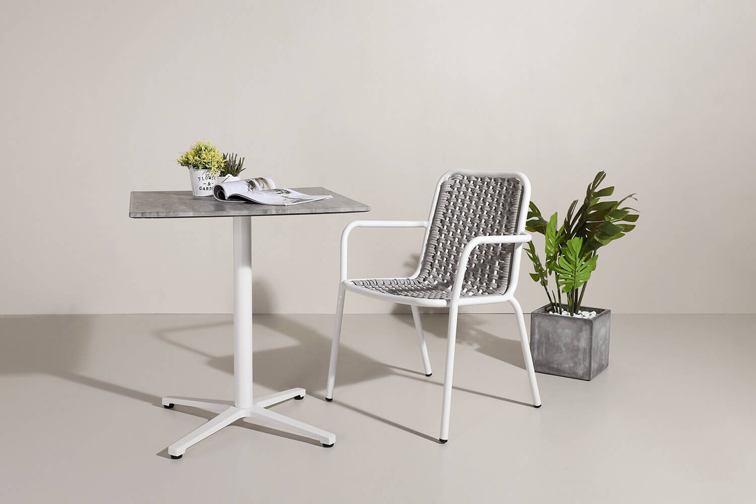 Ingelica Chair and Monstera Plant - Comfort Furniture