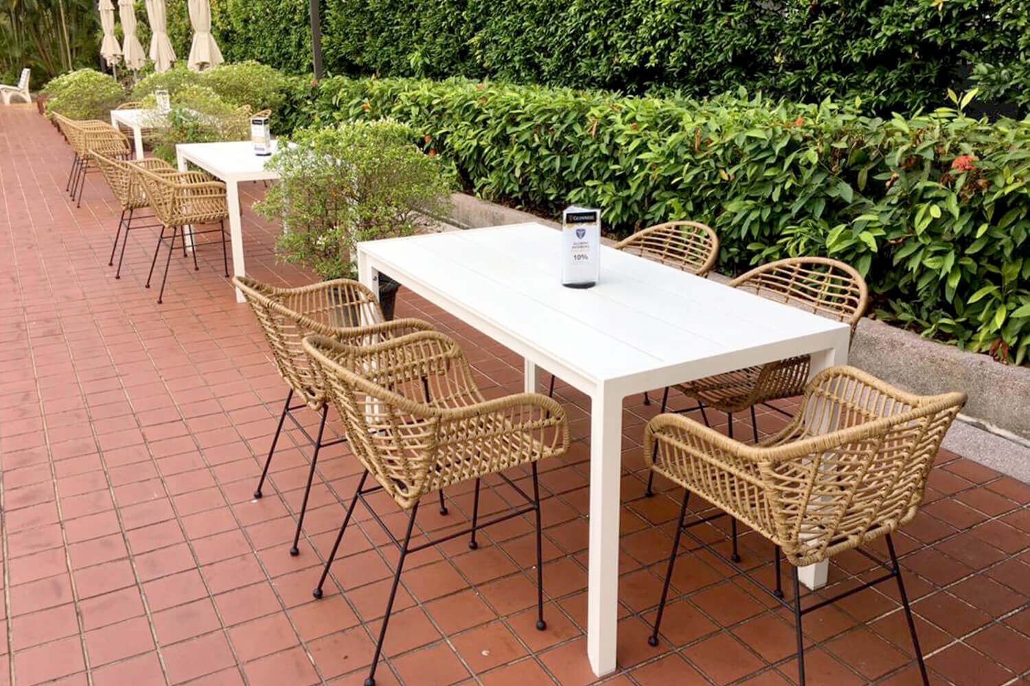 Monaco Chair with plants 2 - Comfort Furniture