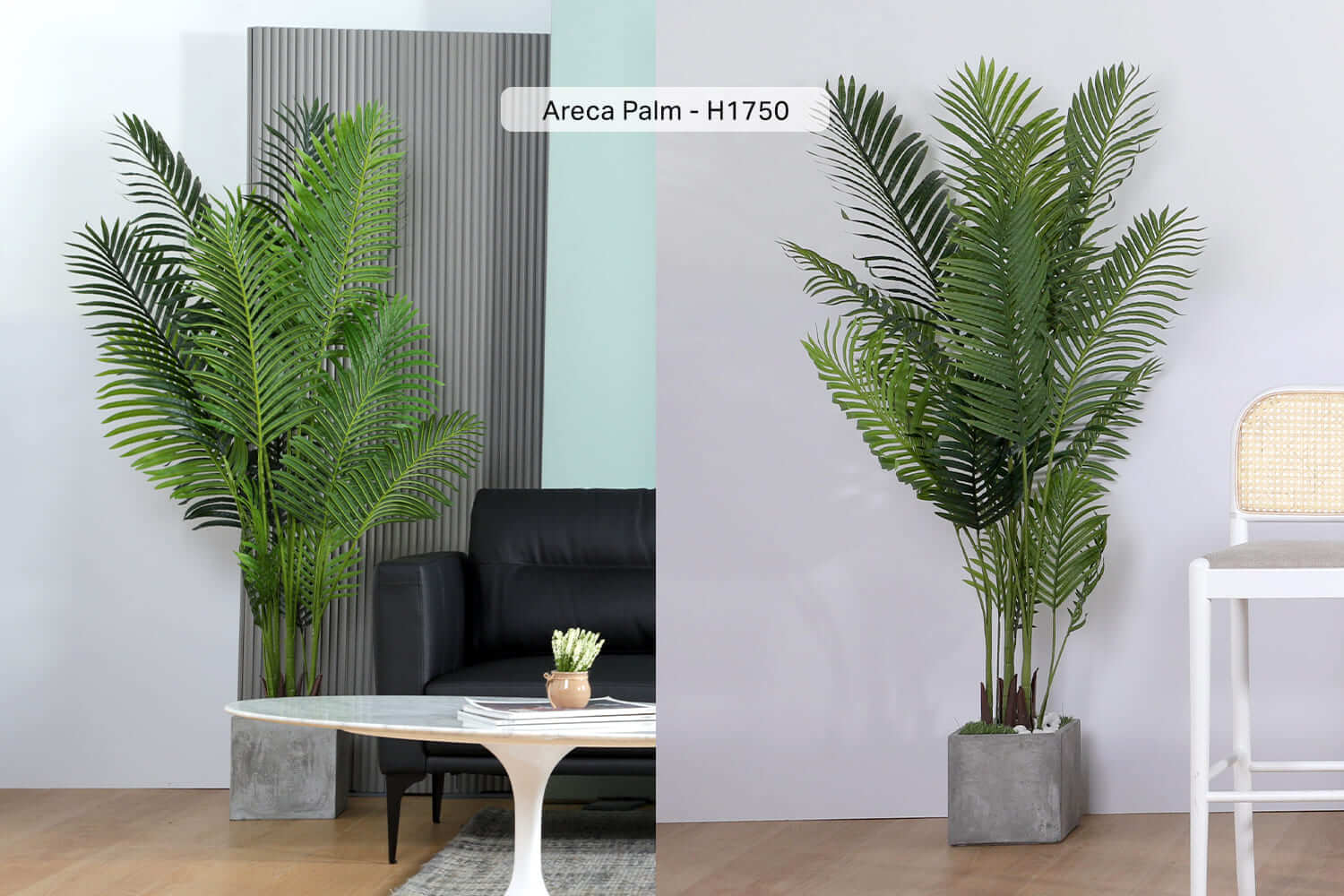 Areca Palm Tree Planters - Comfort Furniture