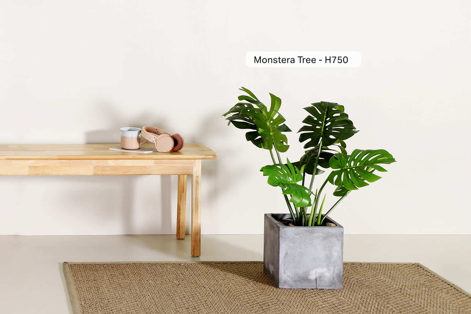 Small Monstera Tree Plant Greenery - Comfort Furniture