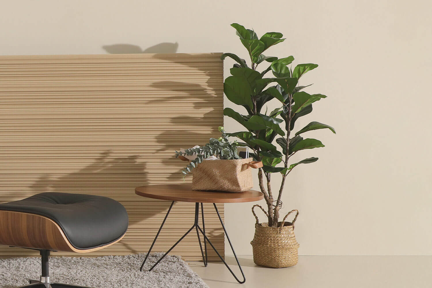 Ficus Tree in Woven Basket for Home Styling - Comfort Design Furniture