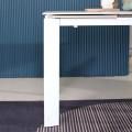 Sleek table leg design