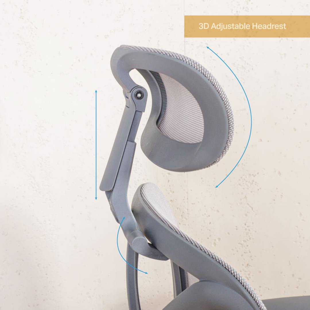 Head and Neck Support