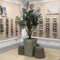 Anothersole - PLQ Mall | Product Seen: [Cupcake (Storage) - V2]